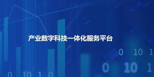 天星金融 以專業(yè)保險(xiǎn)服務(wù)與信息技術(shù)咨詢，為您優(yōu)選每一份保障