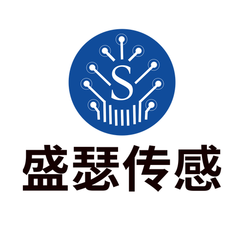 成都盛瑟傳感技術(shù) 引領(lǐng)信息技術(shù)咨詢服務(wù)新浪潮
